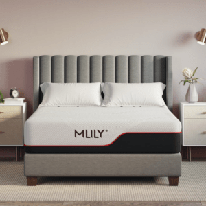 MLily Dream