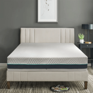 MLily Essential Plus 12" Mattress